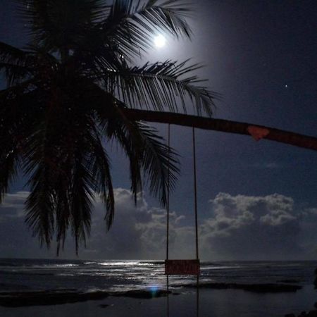 Hotel Casa Vito Beachfront Puerto Viejo de Talamanca ภายนอก รูปภาพ