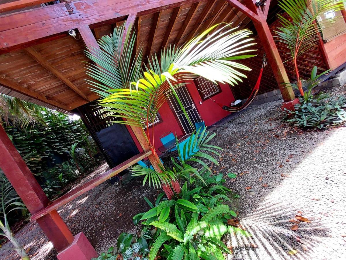 Hotel Casa Vito Beachfront Puerto Viejo de Talamanca ภายนอก รูปภาพ